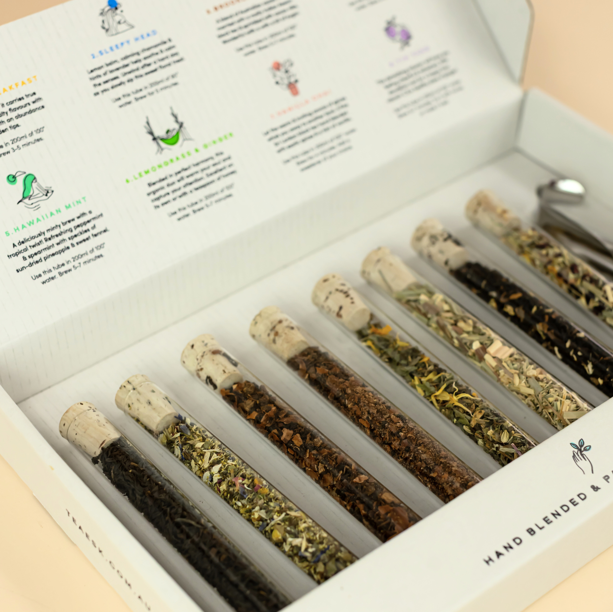 (NEW) Teaesk Taster Pack